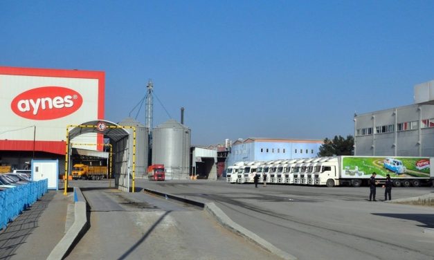 Aynes, Tarım Kredi’ye satıldı