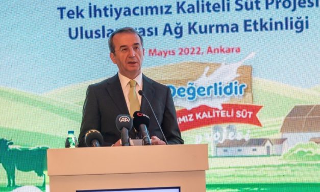 SETBİR: USK’dan beklentimiz maliyetleri düzgün ortaya koyması