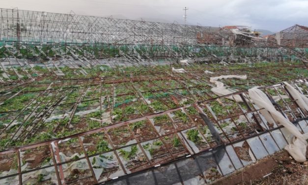 TARSİM, Antalya’da hasar tespit çalışmasına başladı