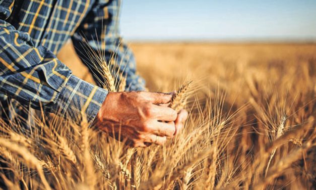 2022 tarım takviyeleri açıklandı