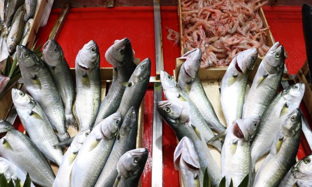 4 balık çeşidi tescillendi