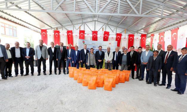 Amasya’da çiftçilere kanola tohumu dağıtıldı