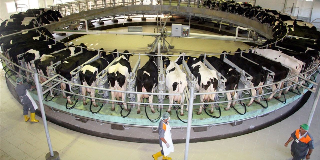 Bakanlık süt üreticileriyle bir ortaya geliyor