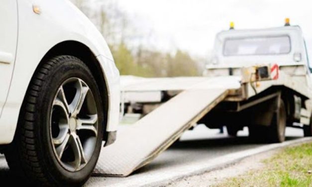 Cazip ihracatı 3. çeyrekte yüzde 80 arttı