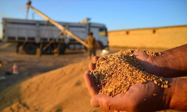 Hububatta DİR yoluyla ‘haksız rekabet’ tezi