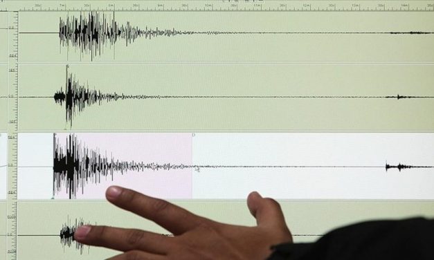 Muğla’da 4,8 büyüklüğünde zelzele