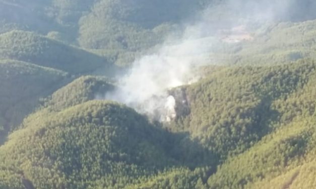 Muğla’da orman yangını