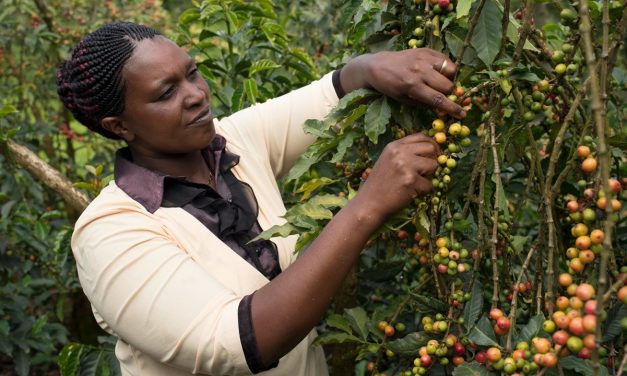 Nestle’den onarıcı tarıma 1 milyar İsviçre Frangı yatırım