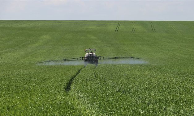 Pasha Bank’tan tarıma birinci 10 ayda 500 milyon lira takviye