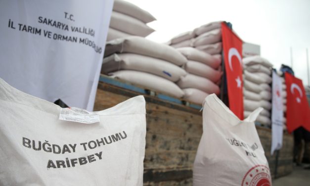 Sakarya’da 512 çiftçiye 100 ton yerli buğday tohumu dağıtıldı