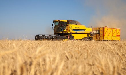Tarım ÜFE eylülde aylık bazda yüzde 7,14 arttı