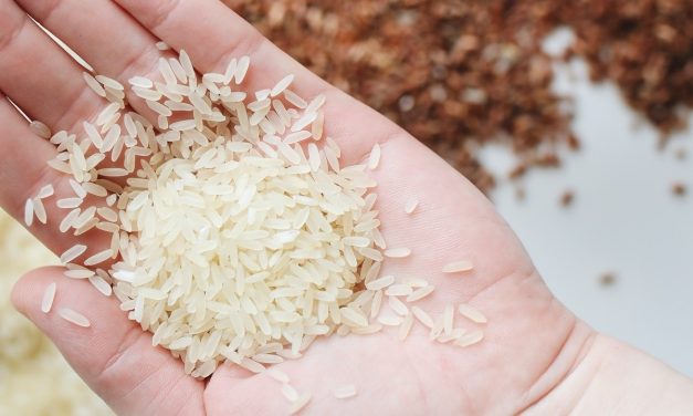 Tescilli Karacadağ pirinci üreticiyi güldürdü