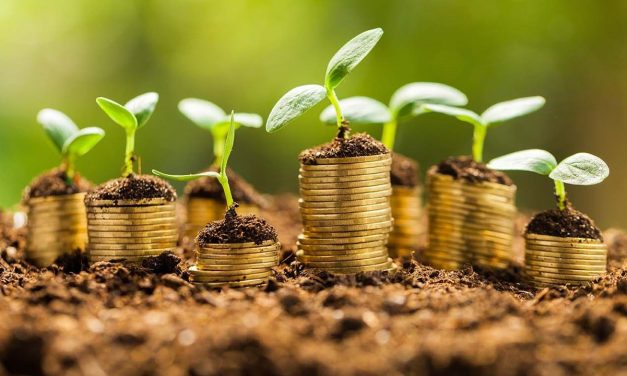 Türkiye’nin yeşil tahvil potansiyeli yıllık 1,8 milyar dolar