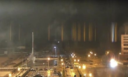 Zaporijya Nükleer Santrali’nin elektrik kontağı kesildi