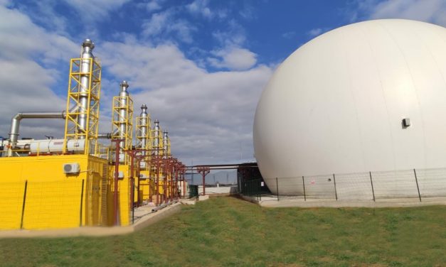 Barış Güç, küresel oyuncu olma amacı ile ilerliyor