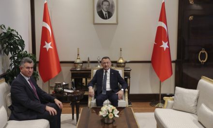 Cumhurbaşkanı Yardımcısı Oktay, Metin Feyzioğlu’nu kabul etti