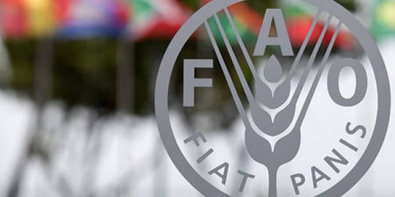 FAO, Türkiye’nin balıkçılık gözlemevi teklifini kabul etti