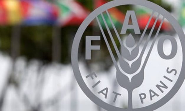 FAO, Türkiye’nin balıkçılık gözlemevi teklifini kabul etti