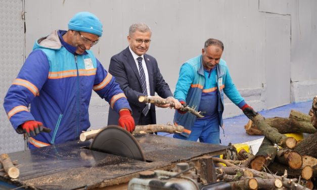 Koltuk, kanepe ve çekyatlar 2500 ailenin kışlık yakacak gereksinimine takviye olacak