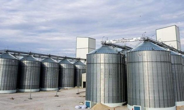 Lisanslı depolardaki eserlere çıkışta tahlil zaruriliği