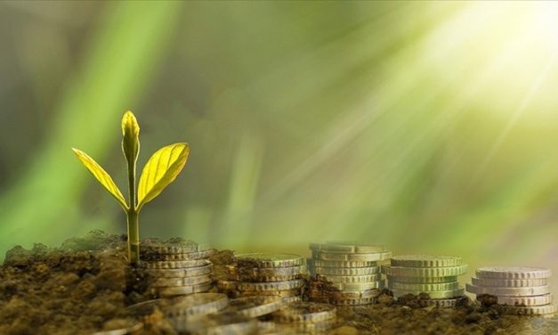 OAİB, Yeşil İktisat ve Güç Şubesi kurdu