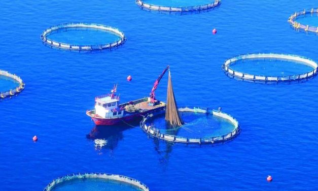 Su eserleri dayanağı son tarih 23 Aralık