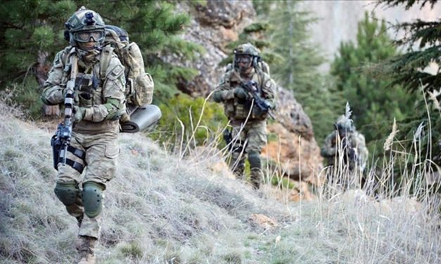 Teröre ‘Pençe-Kilit’ darbesi