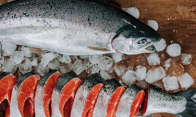 Türk somonu ihracatı 115 milyon doları aştı