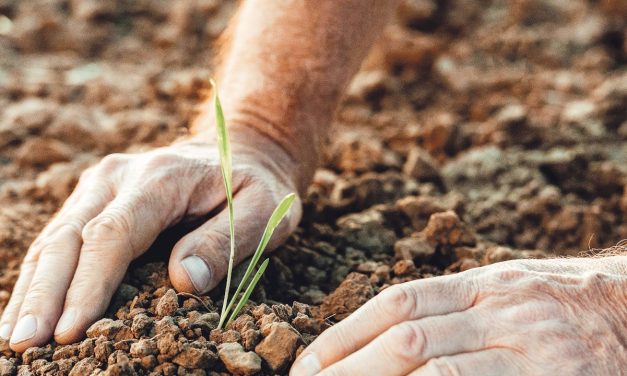 Çiftlik Muhasebe Bilgi Ağı’na katılan işletmelere dayanak