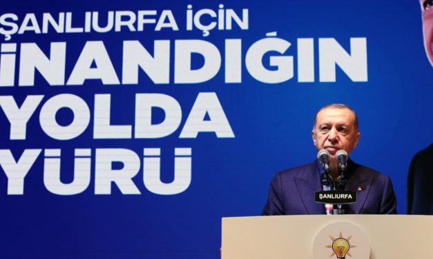 Pamuk ve ayçiçek takviyeleri ne kadar oldu?