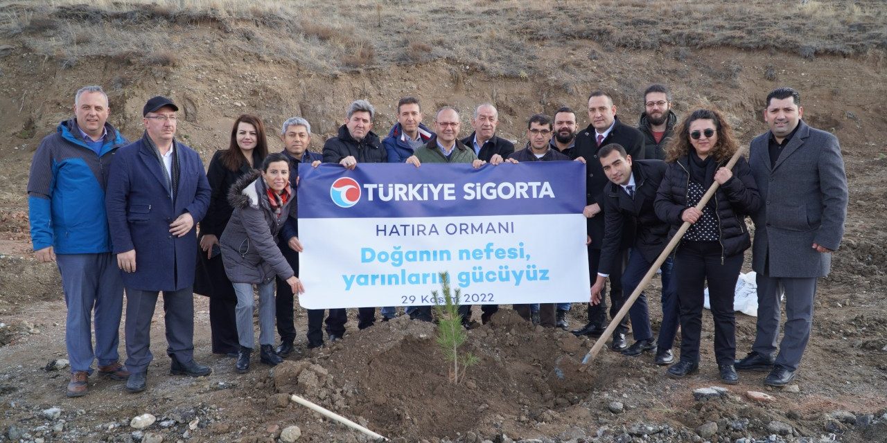 Türkiye Sigorta, Sivas’ta Hatıra Ormanı oluşturdu