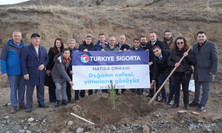 Türkiye Sigorta, Sivas’ta Hatıra Ormanı oluşturdu