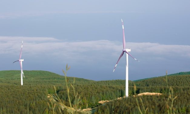 YEKDEM tüketicinin elektrik maliyetini azaltıyor