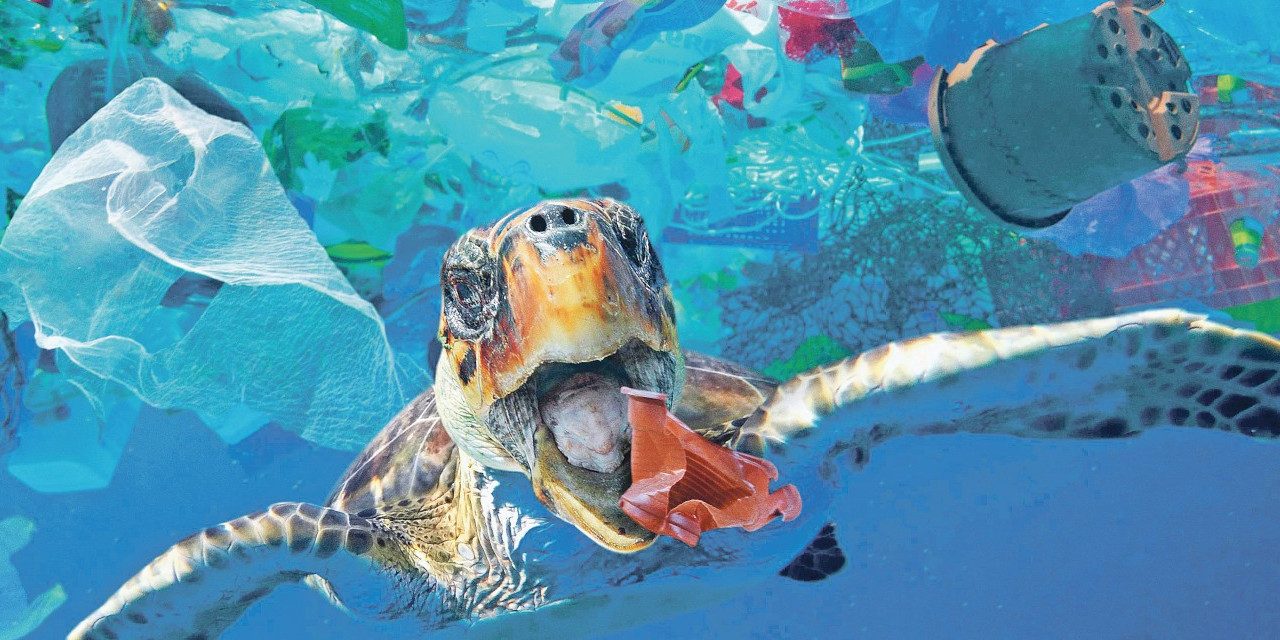 Akdeniz’e kişi başına yılda bir kg plastik karıştırıyoruz