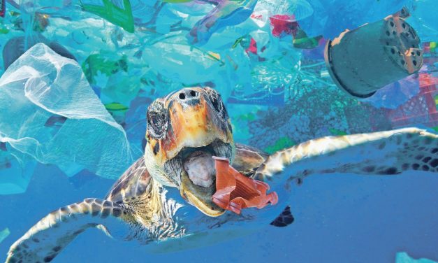 Akdeniz’e kişi başına yılda bir kg plastik karıştırıyoruz