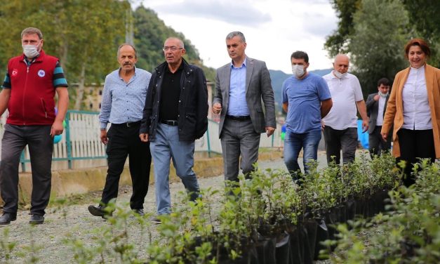 Çanakkale’den fidan ihracatı