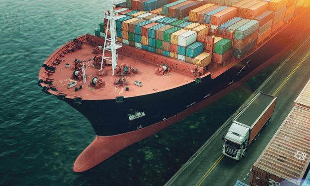 Dünyanın en büyük gemi filosuna sahip 14’üncü ülke Türkiye oldu