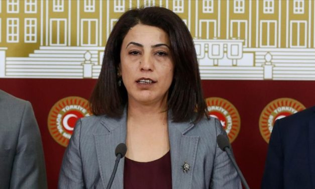 HDP’li İmir: Şırnak’ın en değerli sorunu sıhhat