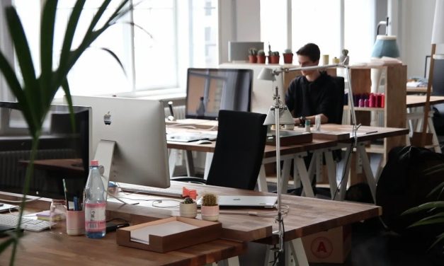 Her 10 CEO’dan 8’i çalışan sayısını artırmayı planlıyor