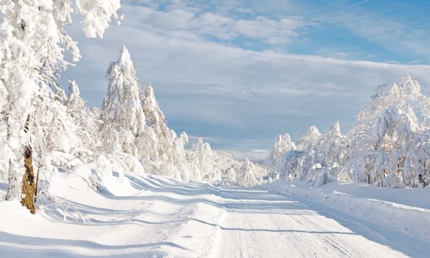 İklim değişikliği kar yağmasına mahzur oluyor