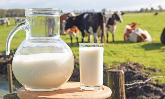 Kriz kapıda! Süt ve süt eserlerinde düşüş sürüyor