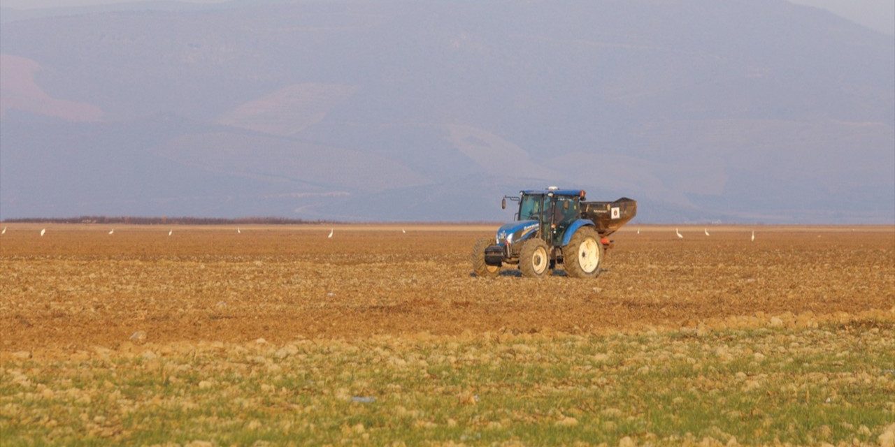 Kuruyan Marmara Gölü’nde tarıma başlandı