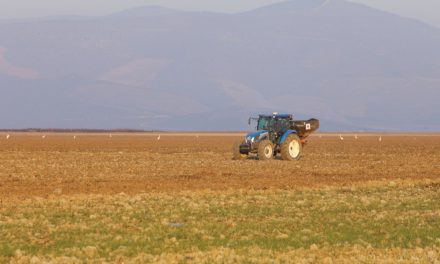 Kuruyan Marmara Gölü’nde tarıma başlandı