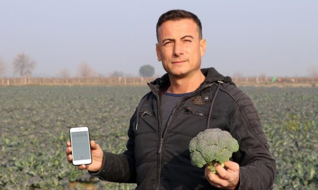 Manisalı çiftçiler, Tarım Cebimde uygulamasından şad