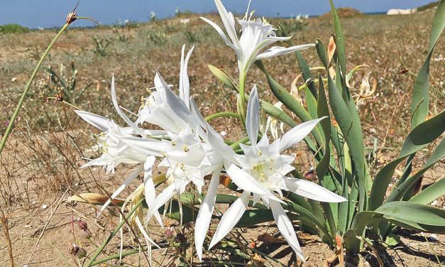 Sonsuz defa dönüşebilen alüminyumdan ilham aldı