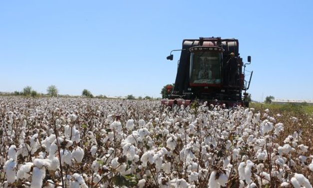 TÜRİB ELÜS Piyasası’ndan bir yılda 67 milyar liralık süreç hacmi