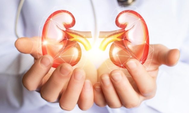 Türkiye’de böbrek naklinin bu yıl artması bekleniyor