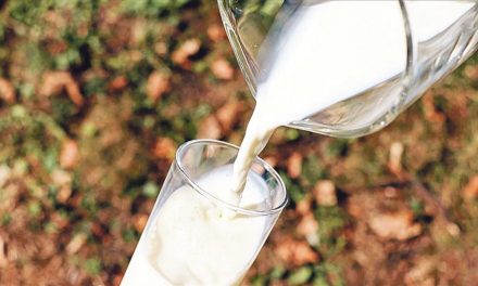 USK, süt arzındaki daralma ve artan fiyatlardan ötürü inanılmaz toplanıyor