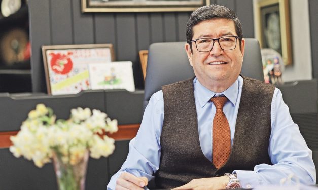 Zeytinyağına yarış dayanağı