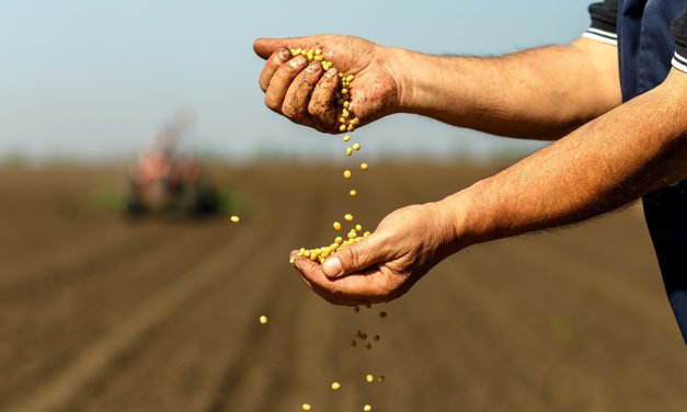 Ziraî girdi enflasyonda yüzde 100’ün üzerinde artış